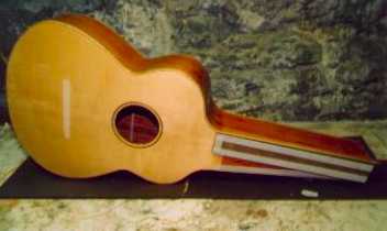 acoustic body
